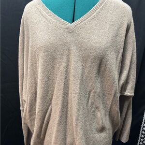 Cozy Beige V-Neck Sweater